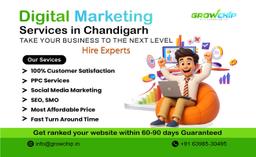 Digital Marketing Services in Chandigarh