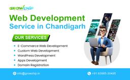 Web Development Services in Chandigarh