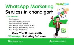 Whatsapp Marketing Services in Chandigarh