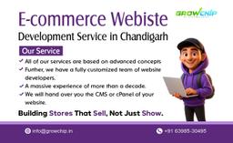E-commerce Website Development Services in Chandigarh